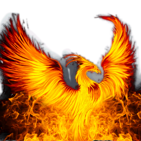 The Phoenix Vanguard